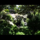 Das Sink Hole im Cave Garden von Mount Gambier